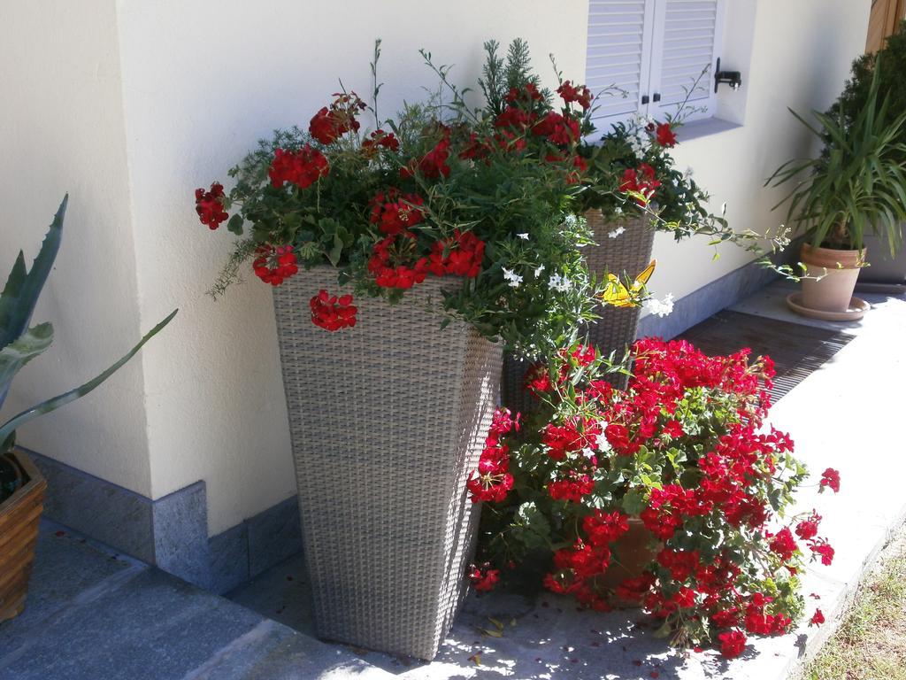 Garni Hattlerhof B&B Μπρούνικο Εξωτερικό φωτογραφία